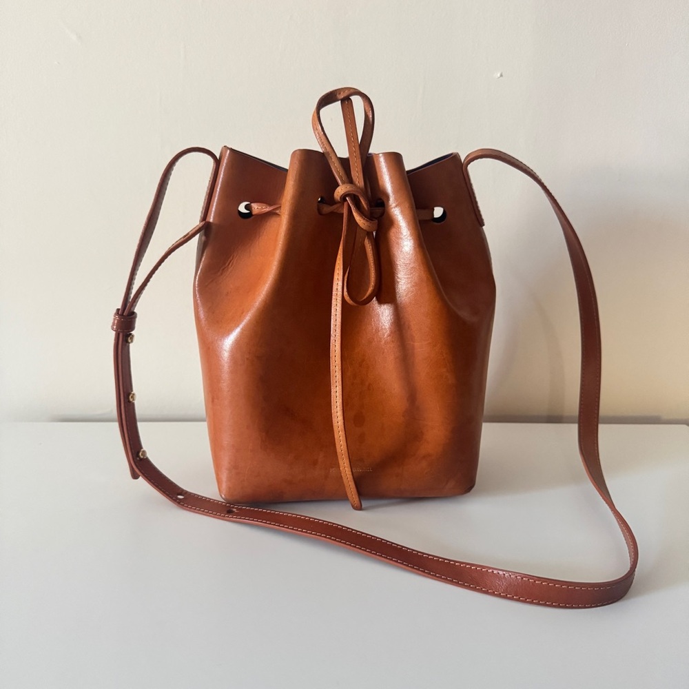 Mansur Gavriel Bucket Bag in Brandy/Royal